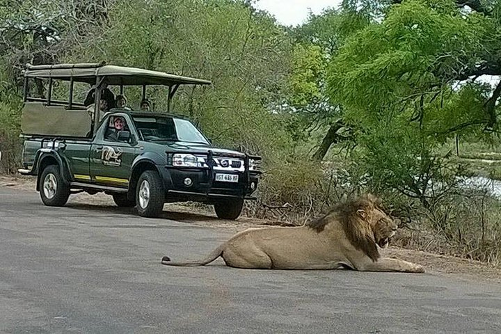 Open Vehical Safari in Kruger National Park Half Day - Photo 1 of 17